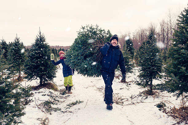 istock Father and daughter carrying freshly cut Christmas tree outdoors winter. 629799708
