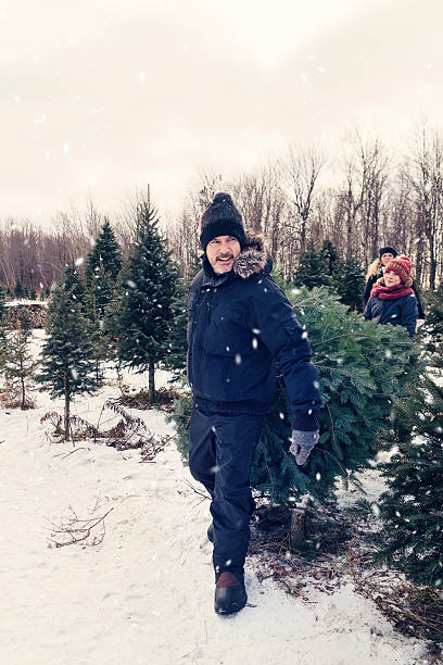 istock Dad ready to carry freshly cut Christmas tree outdoors winter. 629799882
