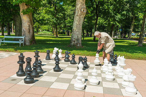 오스트리아 스피탈공원에서 체스를 부지에 두는 남자 - val pusteria 뉴스 사진 이미지