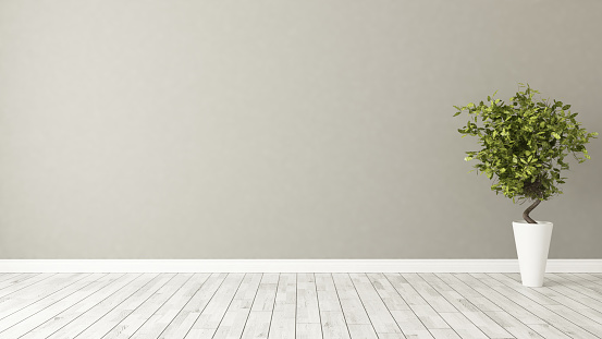 light brown wall empty room with green plant in vase 3d rendering