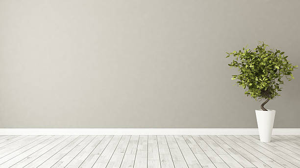 empty room with plant and brown wall light brown wall empty room with green plant in vase 3d rendering unfurnished stock pictures, royalty-free photos & images