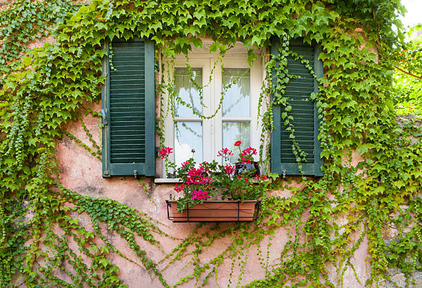 istock Montemarcello, Liguria, Italy 629801556