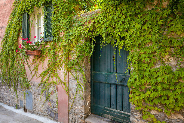 istock Montemarcello, Liguria, Italy 629801688