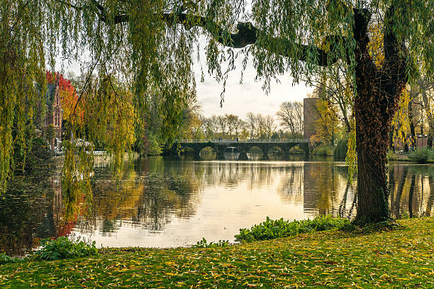 istock Bridge framed with weeping willow in Minnewater park in Bruges, 629802324