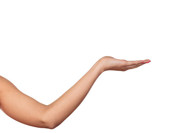 istock Human empty hand for your product or text isolated 629803722