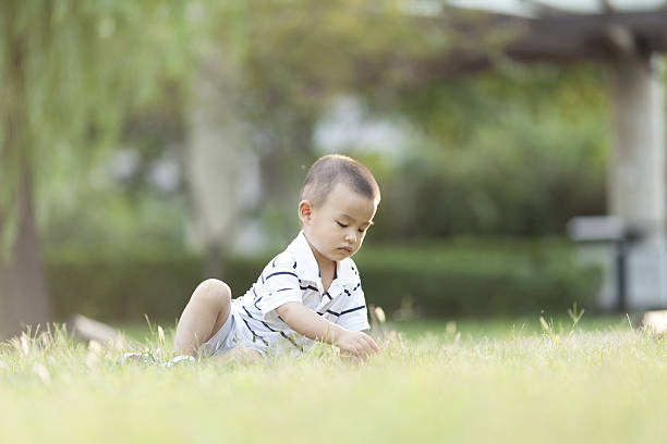 istock Happy Chinese baby boy playing on meadow 629806960