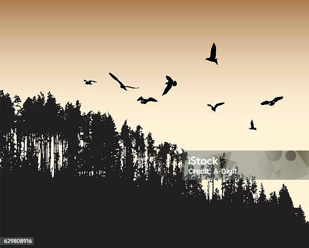 Ancient Flight Stock Illustration - Download Image Now - Bird, Forest, In Silhouette