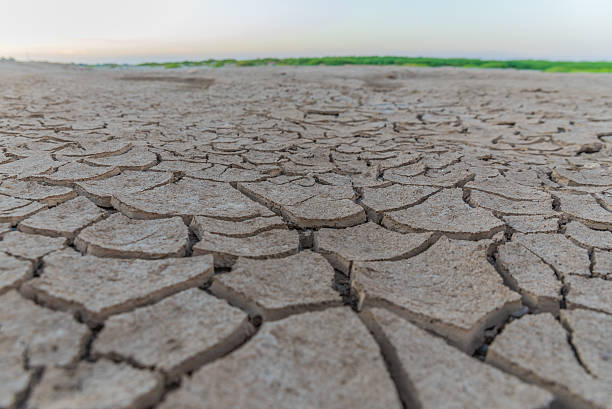 istock Cracked clay ground into the dry season 629809308