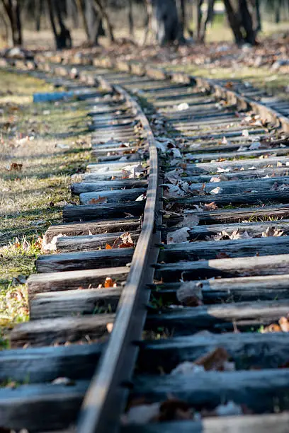 the tracks at the assiniboine park.
