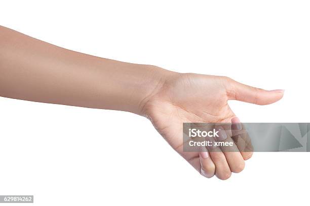 Hand Holding Stock Photo - Download Image Now - Handle, Forearm, Gripping