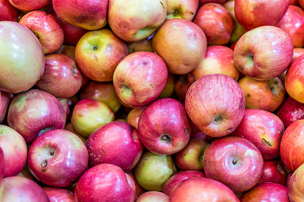 sfondo di molte grandi mele fuji - apple gala apple fuji apple fruit foto e immagini stock