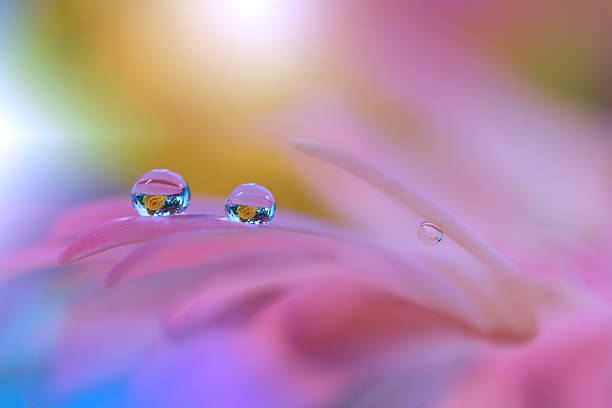 istock Abstract macro photo with water drops. 629815696