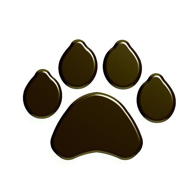 istock Paw Print isolated in white background. 3D Render Illustration 629817604
