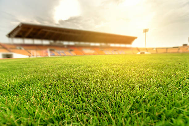 erba verde nello stadio di calcio con bagliore leggero. - stadium bleachers seat empty foto e immagini stock