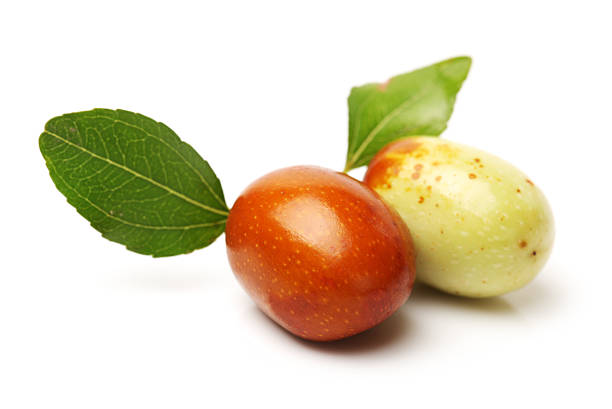 istock jujube or chinese date 629822102