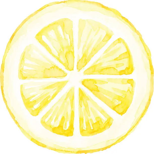 Vector illustration of Watercolor Lemon Slice