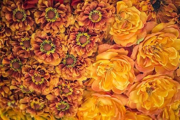 istock Flowers background - Stock image 629823912