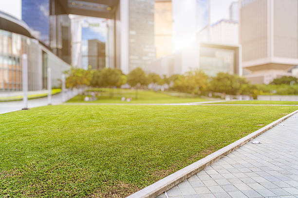 istock meadow,city skyline,Hong Kong,China 629826534