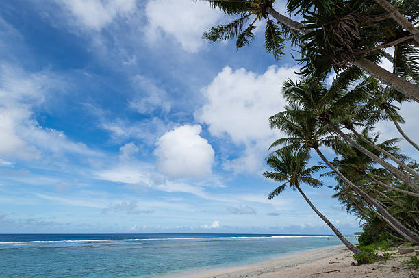 istock Coco Palm Garden Beach in Guam, USA 629827248