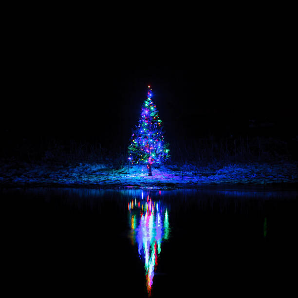 istock Christmas tree with garlands on  background of the night sky 629831726