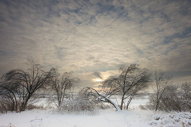 istock Frozen lake in Michurinets 629831850