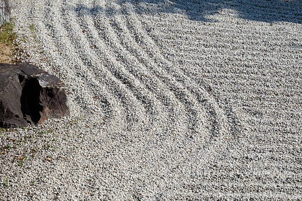 istock pattern of dry landscape garden 629836658