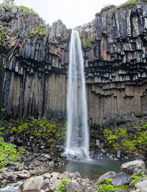 istock Svartifoss (Black Fall), Skaftafell, Iceland 629838392