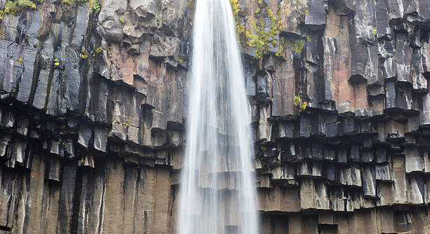 istock Svartifoss (Black Fall), Skaftafell, Iceland 629838486