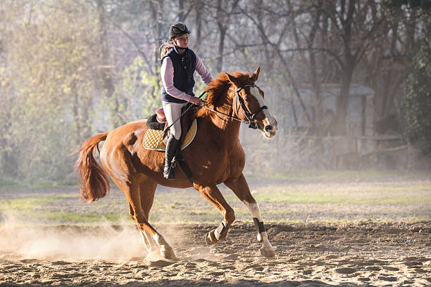 istock Young girl riding a horse 629838780