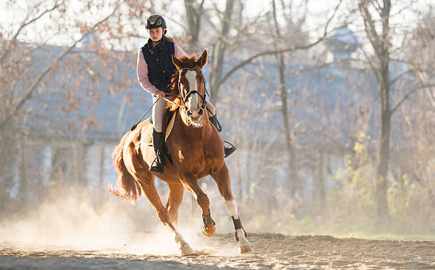 istock Young girl riding a horse 629839362