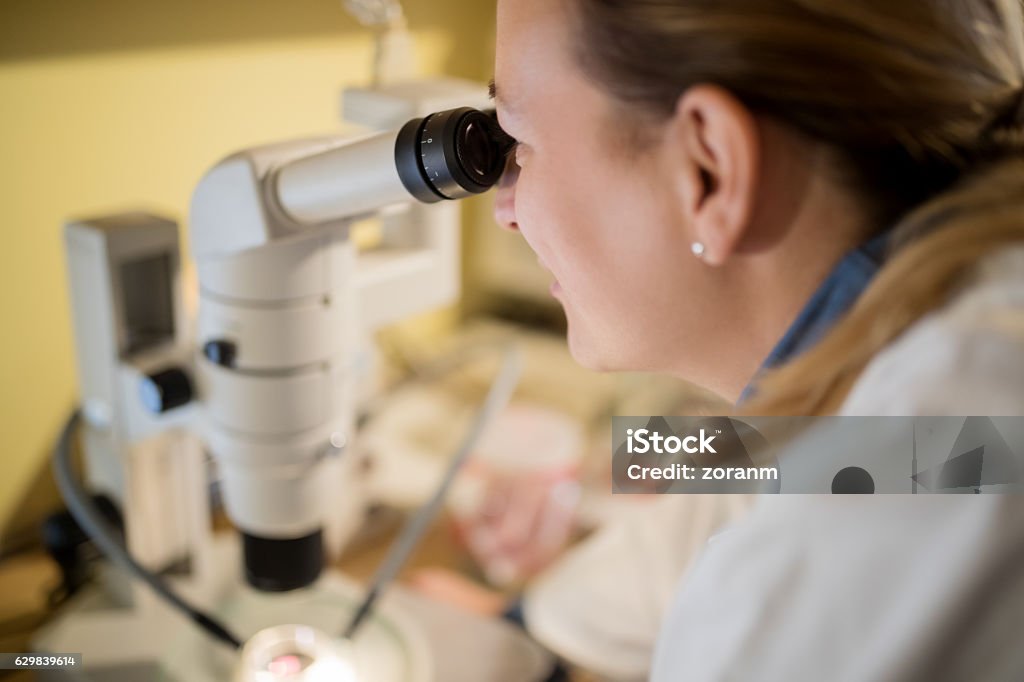 Someone Using Optical Microscope Female Scientist Using Microscope Stock Photo - Download Image Now ...