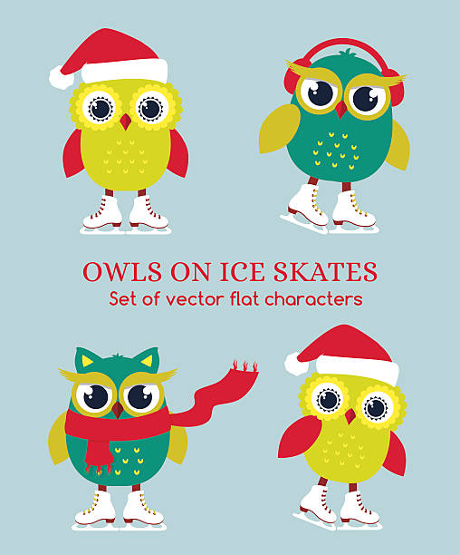 ilustrações de stock, clip art, desenhos animados e ícones de funny owls on ice skates. vector illustration. - color image blue background season animal