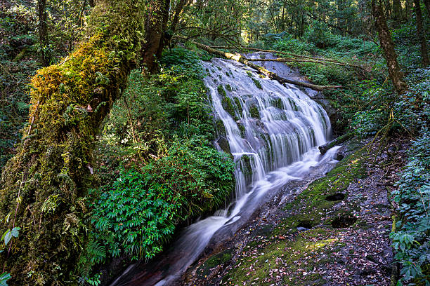 Kew Mae Pan Nature Trail, In the Doi Inthanon National Park, locate near the 42km marker, walk on trail for nearly 3km, passing a string of viewpoints and a pretty waterfall; a local guide is compulsory and should be arranged at the park headquarters. The views are best in the cool dry season from November to February. Dont' miss if you come to Doi Inthanon. Chom Thong Dtstrict, Chiang Mai province, Thailand. Thai will call here \