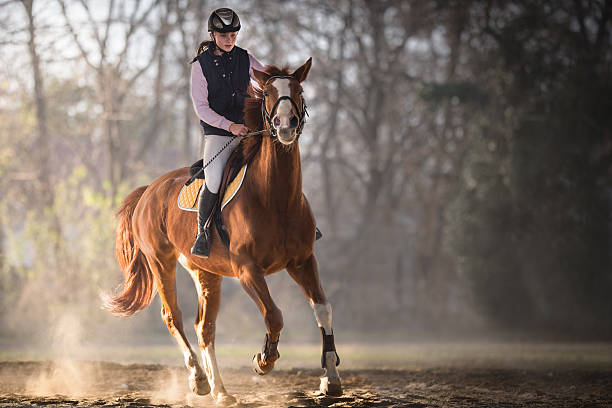 istock Young girl riding a horse 629862424