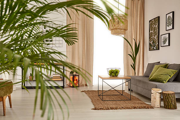 istock Living room with decorative palm 629863550