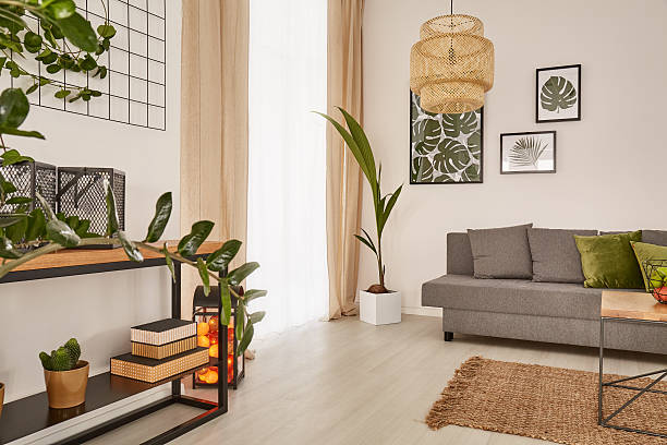 istock Cozy home with decorative houseplants 629863668
