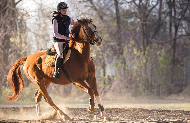 chica joven montando a caballo - non urban scene rural scene tree horse fotografías e imágenes de stock