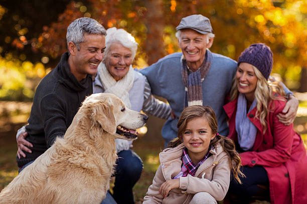 istock Cheerful multi-generation family with dog at park 629864990