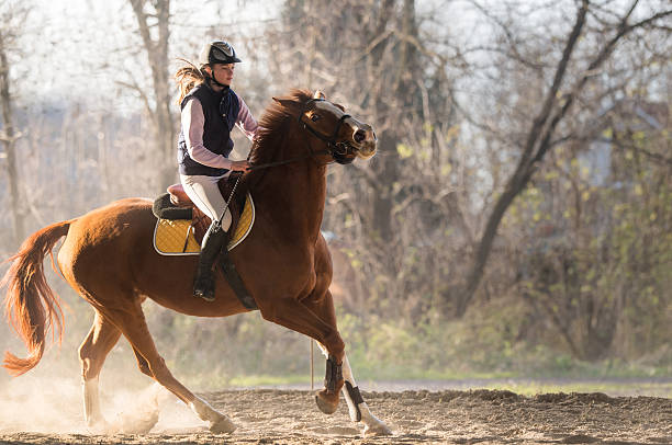 istock Young girl riding a horse 629865124