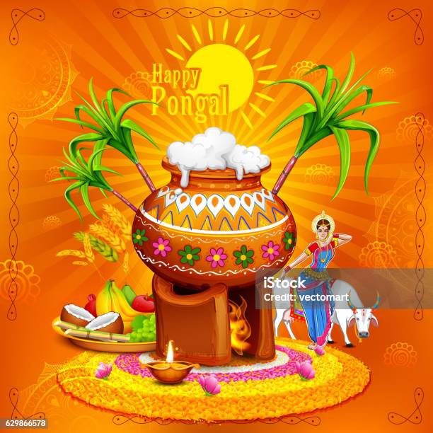 Happy Pongal Greeting Background Stock Illustration - Download Image Now -  Pongal Festival, Makar Sankranti, Cow - iStock