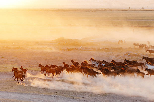 istock Once Upon a Time Kayseri 629866590