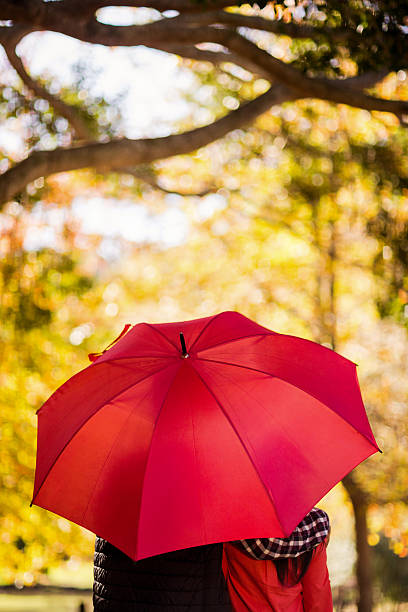 istock Rear view of couple with umbrella 629866648