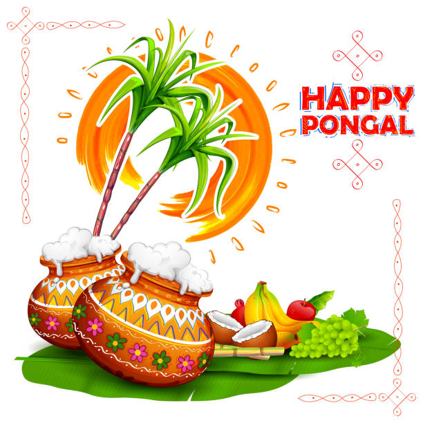 Pongal Festival Illustrations, Royalty-Free Vector Graphics & Clip Art -  iStock