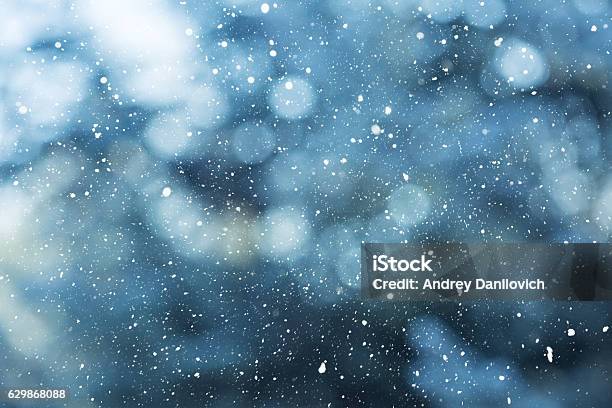 Winter Scene Snowfall On The Blurred Background Stock Photo - Download Image Now - Winter, Snow, Backgrounds