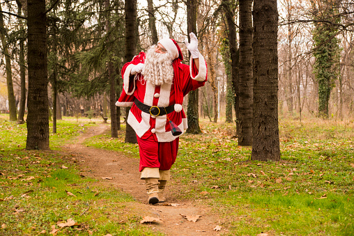 Santa Claus waving  in forest  With A bag Of Gifts On Way during the day