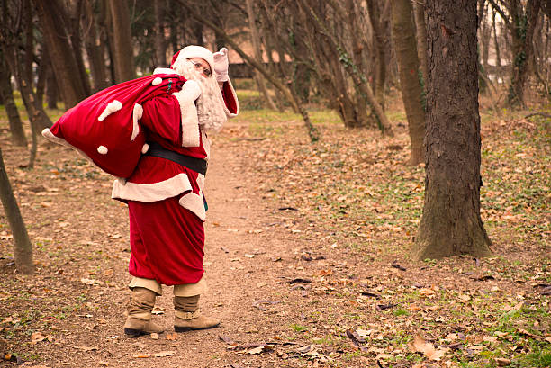 istock Santa Claus delivering presents walking in the forest during day 629869404