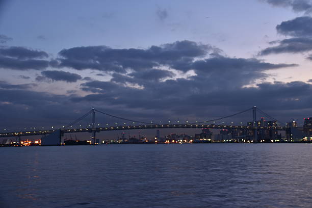 istock Tokyo city view 629870184