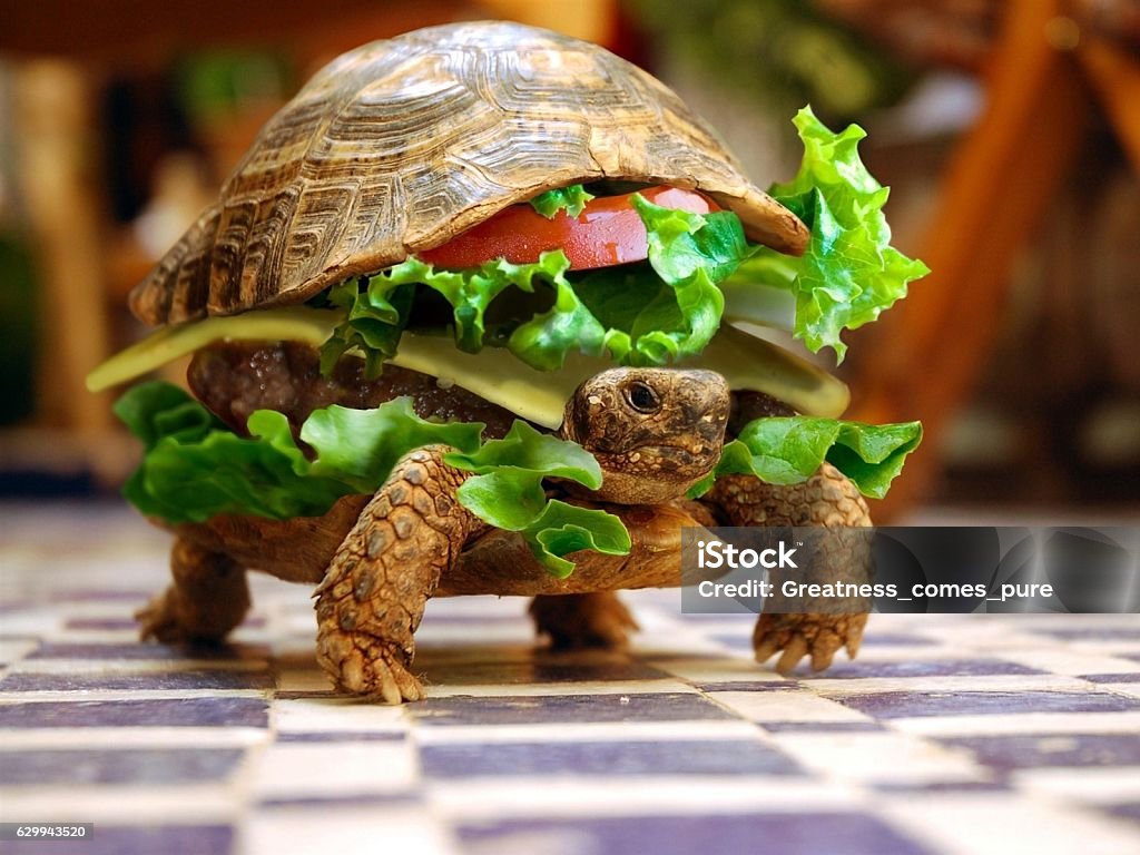 Food art Turtle art , food , burger, fun Burger Stock Photo