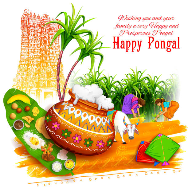 Happy Pongal greeting background illustration of Happy Pongal greeting background happy pongal pics stock illustrations