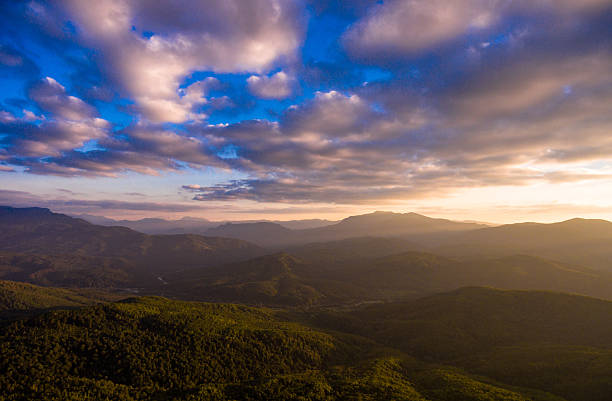 istock Mountain forest and cloudy dramatic sky in the evening. 629950770